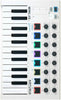 Arturia MiniLab MkII 25 Slim-Key 25-Note USB Mini Keyboard Controller -White - Sellabi