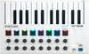 Arturia MiniLab MkII 25 Slim-Key 25-Note USB Mini Keyboard Controller -White - Sellabi