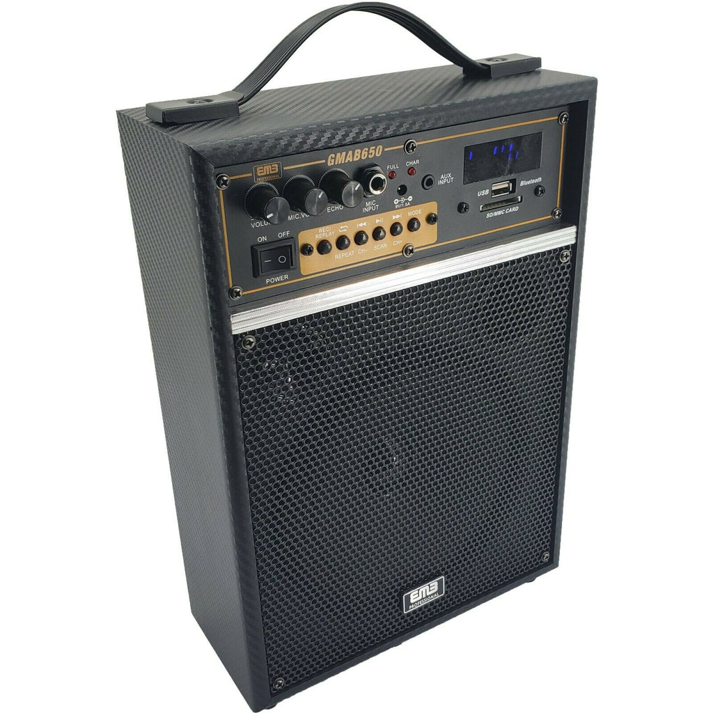 Rechargeable Guitar Amplifier Speaker 300W Combo MIC SD USB ECHO V4 w/ Bluetooth - Sellabi