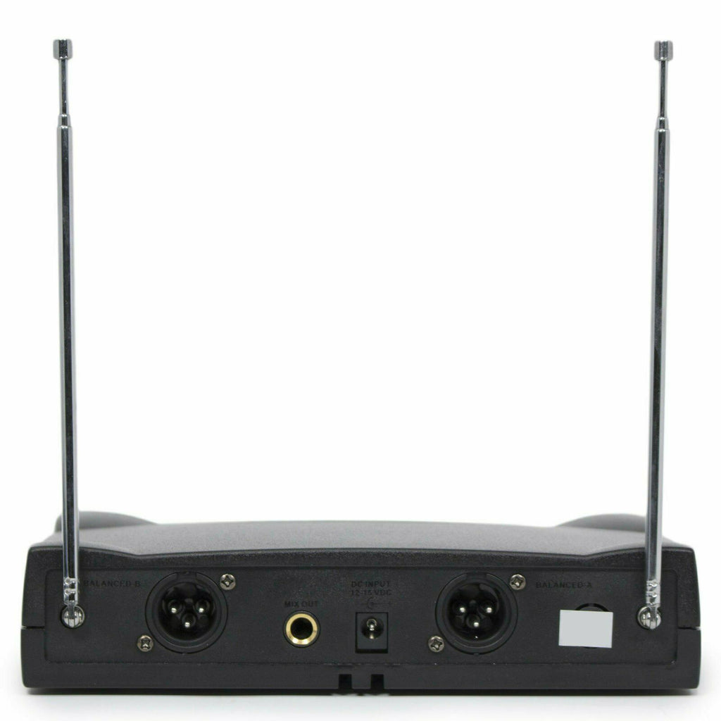 Professional Wireless Microphone System Headset / Lavalier 2 x Mic w/ Receiver - Sellabi