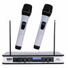 EMB Dual HandHeld Microphone System/Digital Display for Church, Karaoke w/ Echo - Sellabi