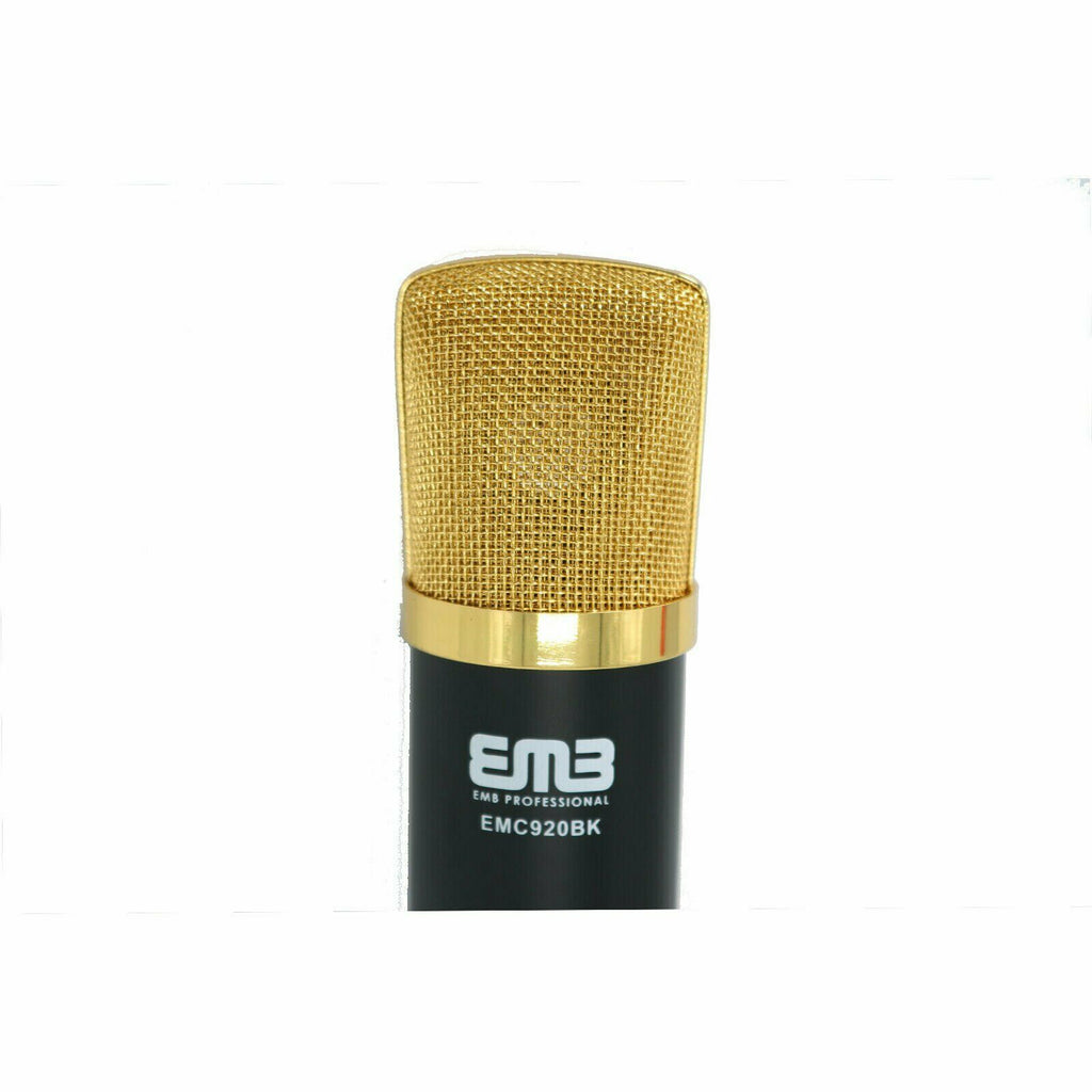 EMC920 Multi Pattern Recording Large Diaphragm Condenser Studio Microphone Black - Sellabi